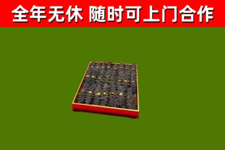 邵阳市回收海参